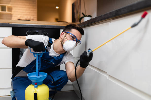 Best Pest Prevention Services  in Gibsonton, FL