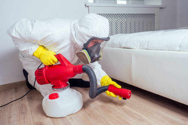 Best Best Pest Control Companies  in Gibsonton, FL