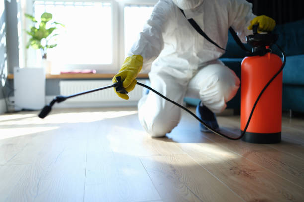 Best Affordable Pest Control Services  in Gibsonton, FL