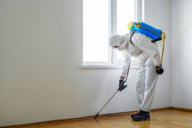Best Exterminator Services  in Gibsonton, FL