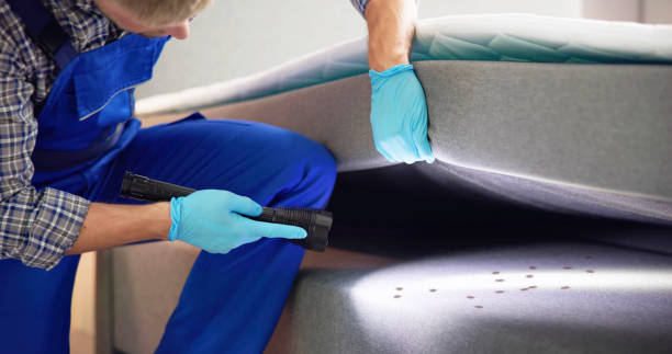 Best Ant Control Services  in Gibsonton, FL