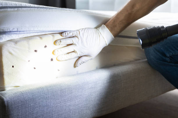 Best Pest Inspection Near Me  in Gibsonton, FL