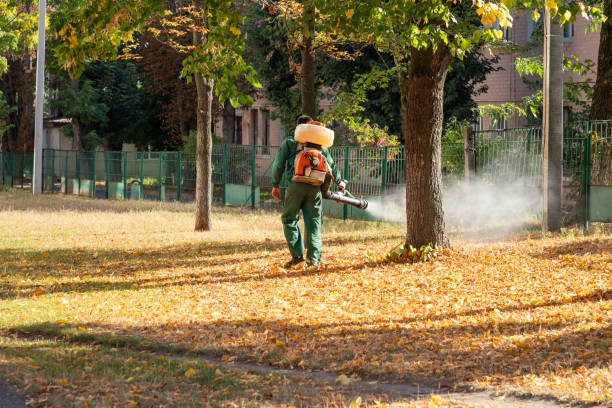Best Wasp Removal Services  in Gibsonton, FL