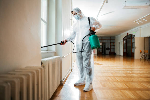 Best Affordable Pest Control Services  in Gibsonton, FL