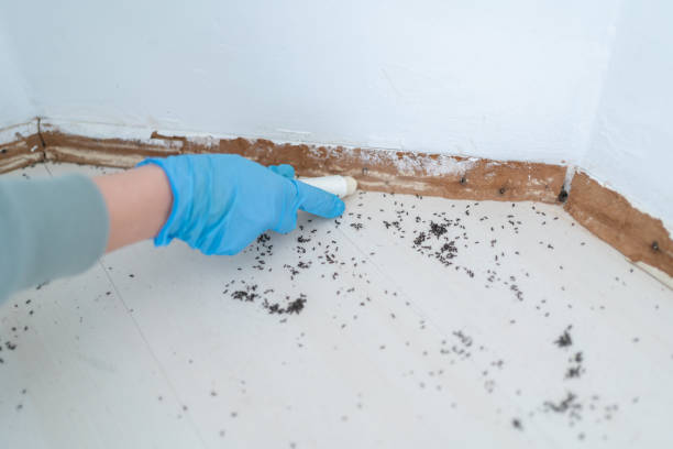 Best Wildlife Control Services  in Gibsonton, FL