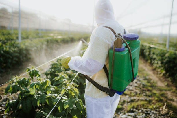 Best Commercial Pest Control Services  in Gibsonton, FL